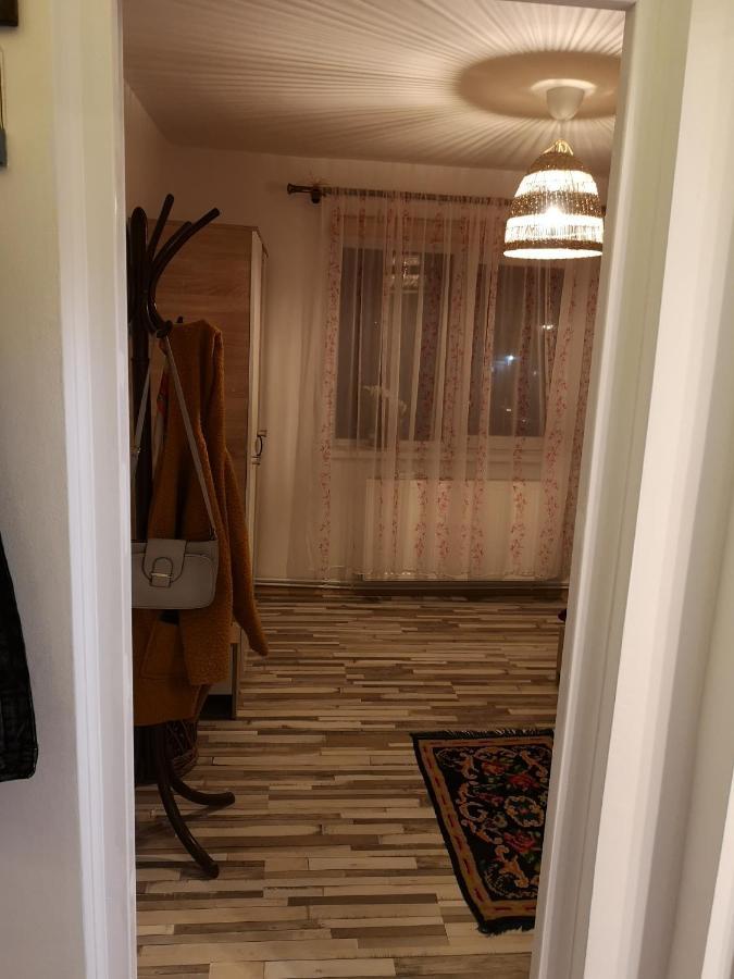Little Modern Folk Apt Appartamento Vălenii de Munte Esterno foto